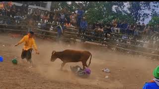 Fiestas de Miraflores 2024  Cumanda Becker Sound [upl. by Meris]