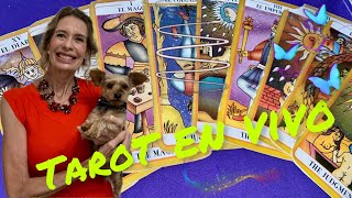 Tarot en vivo horóscopo lecturadetarot lecturadecartas tarot tarotvivo [upl. by Yecaw]