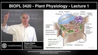 BIOPL3420  Plant Physiology  Lecture 1 [upl. by Zimmerman]