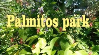 Пальмитос парк Palmitos park Гран Канария Gran Canaria Испания [upl. by Fidelia]