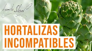 Hortalizas incompatibles [upl. by Mychal667]