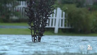 Tidal flooding in Bowleys Quarters [upl. by Thomasin]