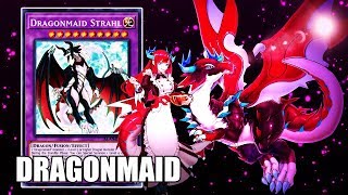 【YGOPRO】DragonMaid Deck New Support DragonMaid Strahl [upl. by Schwarz]