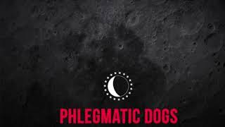 Phlegmatic Dogs  Keepmastik Csaba F Jack Edit [upl. by Kaule257]