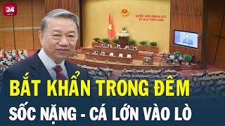 Tin tức nhanh và chính xác nhất ngày 16092024 ITin Nóng Chính Trị Việt Nam và Thế Giới✈THỜISỰTV24 [upl. by Appleby632]