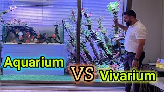 Aquarium vs vivarium Which one will be more attractive after 3 months 😎 [upl. by Lleksah984]