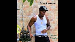 Blackanese YoungStar Gyal Lyrics [upl. by Zuzana]