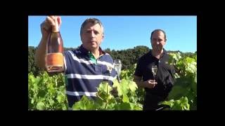 à Vouvray au domaine de la Racauderie avec JeanMichel GAUTIER la vidéo [upl. by Eynenihc]