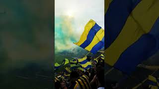 Rosario Central VS Newells Old Boys classic from the City of Rosario classic match viralvideo [upl. by Dolly]