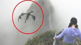 5 DRAGONES TOMADOS EN VIDEO CÁMARA Y VISTOS EN LA VIDA REAL [upl. by Douty673]