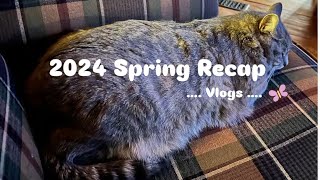 VLOG 2024 Spring Recaps 2024 春季回顧 [upl. by Ailliw521]