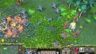 Warcraft 3 Reign of Chaos Night Elf campaign cinematics 56 [upl. by Nemad]