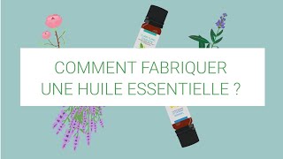 Comment fabriquer une huile essentielle [upl. by Anastasio]