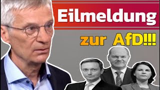 🚨 AfD auf dem Vormarsch in Brandenburg Politische Landschaft im Wandel – Koalition mit Altparteien [upl. by Ednew]