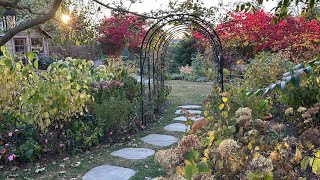 Fall Garden Tour 2024  Final Garden Walk n’ Talk Before Frost [upl. by Ormond377]