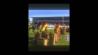 RIP Hickstead 😢🕊️ horse horseedit hickstead [upl. by Rolat525]