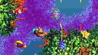 Donkey Kong Country 3 GBA Fish Food Frenzy 1080 HD [upl. by Eisyak]