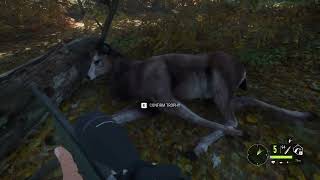 HUNTING RED DEER Difficulty 5 Medium theHunter Call of the Wild thehuntercallofthewild hunter [upl. by Rodi18]