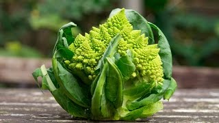 Romanesco So kocht man ihn richtig  Der Bio Koch [upl. by Verity975]