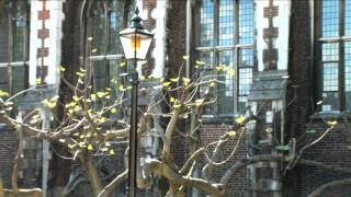 Treasures of Lambeth Palace Library Exhibition [upl. by Llehsem]