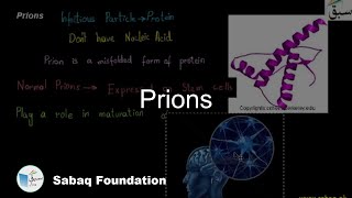 Prions Biology Lecture  Sabaqpk [upl. by Zannini848]