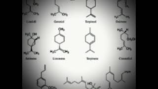 Introduction to Terpenes [upl. by Dremann266]