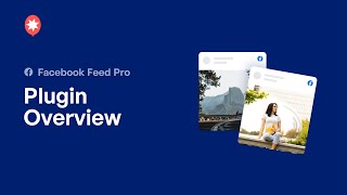 The Custom Facebook Feed WordPress Plugin v4 [upl. by Eilis]