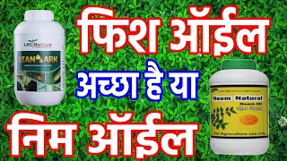 फिश ऑईल डाले या निम ऑईल Fish oil vs Neem oilorganic pesticide [upl. by Nuj]