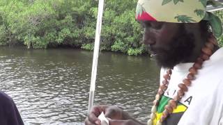 SNOOK FISHING IN NEGRIL JAMAICA [upl. by Slocum]