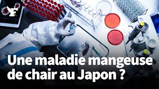 Quelle est cette bactérie «mangeuse de chair» qui inquiète le Japon [upl. by Harragan]