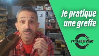 TUTO Je pratique une greffe  Menuiserie [upl. by Tyson]