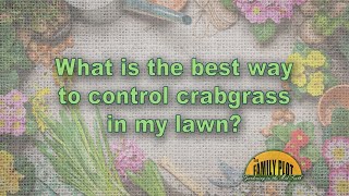 What is the best way to control crabgrass in my lawn [upl. by Aremmat]