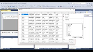 Advanced DatagridView filter  C [upl. by Horten]