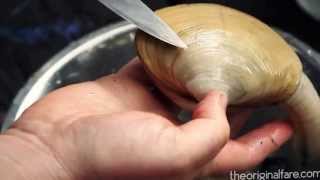 CLEANING CLAMS [upl. by Schwejda]