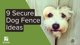 9 Dog Fence Ideas for Your Pups  Backyardscape [upl. by Asirrom816]