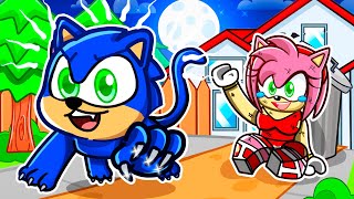 Playing Roblox SNAPCHAT As A PROTECTIVE SONIC CAT [upl. by Asirram]