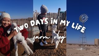 Vlog  Come To The Farm With Me  Namibian YouTuber [upl. by Molton]