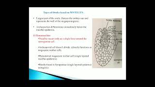 Types of ovules based on nucellus [upl. by Lerej960]