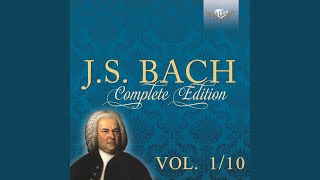 Orchestral Suite No 2 in B Minor BWV 1067 VII Badinerie [upl. by Raknahs]