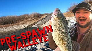 Spillway Fishing for PreSpawn Walleye [upl. by Eekaz]