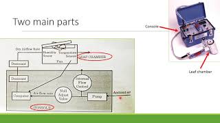 Estimation of transpiration using Porometer [upl. by Wilscam]