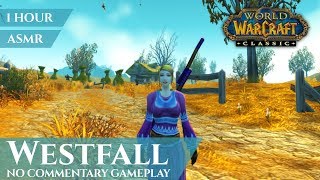 WoW Classic Westfall  Gameplay No Commentary ASMR 1 hour 4K World of Warcraft Vanilla [upl. by Willey]