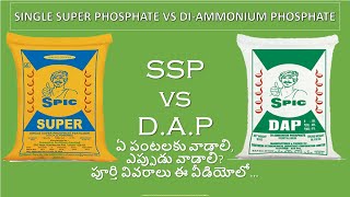 SSP vs DAP  Single Super Phosphate and Diammonium Phosphate Fertilizer Future Tech Agriculture [upl. by Josler]