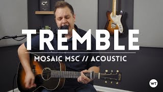 Tremble  Mosaic MSC  Acoustic onetake cover [upl. by Oicnerual]