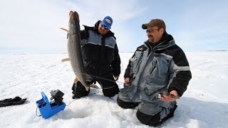 Finding Jumbo Perch and Walleyes on Devils Lake North Dakota [upl. by Ayet]