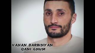 Vahan Darbinyan  Qani gnum cover byJora Shahinyan [upl. by Attolrac]