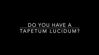 Do You Have A Tapetum lucidum [upl. by Airtemak]