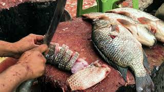 Amazing Fish Cutting  Big Tilapia Fish Cleaning amp Cutting By Expert Fish Cutter  Fish Cutting [upl. by Deacon]