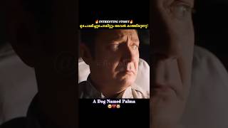 ഈ നയയോട് ചെയ്തത് കണ്ടോ🥺💔😓 A dog named Palma Malayalam movie explanation [upl. by Virginie]