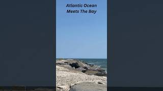 Atlantic Ocean Meets The Bay Longport New Jersey Point [upl. by Schargel]